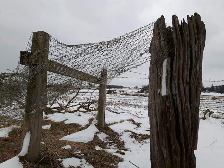snow 3