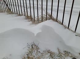 snow 6