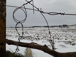 snow 7