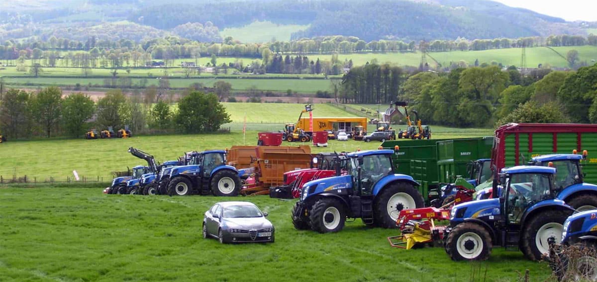 Scotgrass
