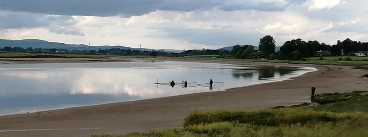 3 Haafnetters at Conheath