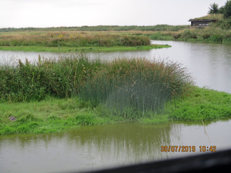 IMG_0098_edited-1