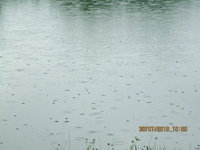 IMG_0108_edited-1
