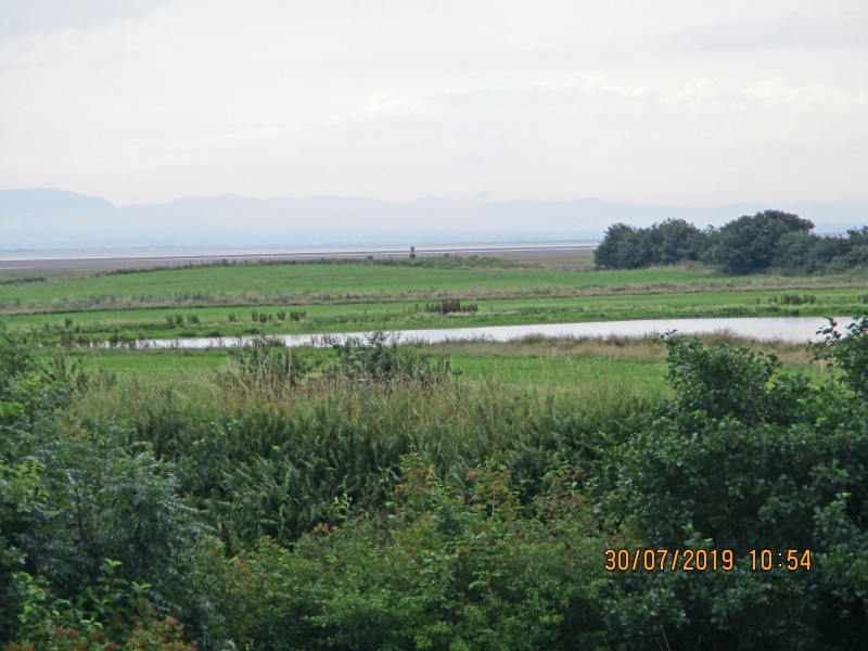 IMG_0114_edited-1