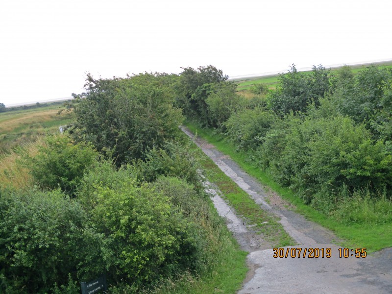 IMG_0116_edited-1