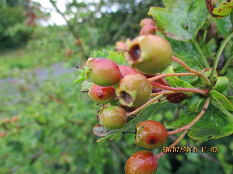 IMG_0125_edited-1
