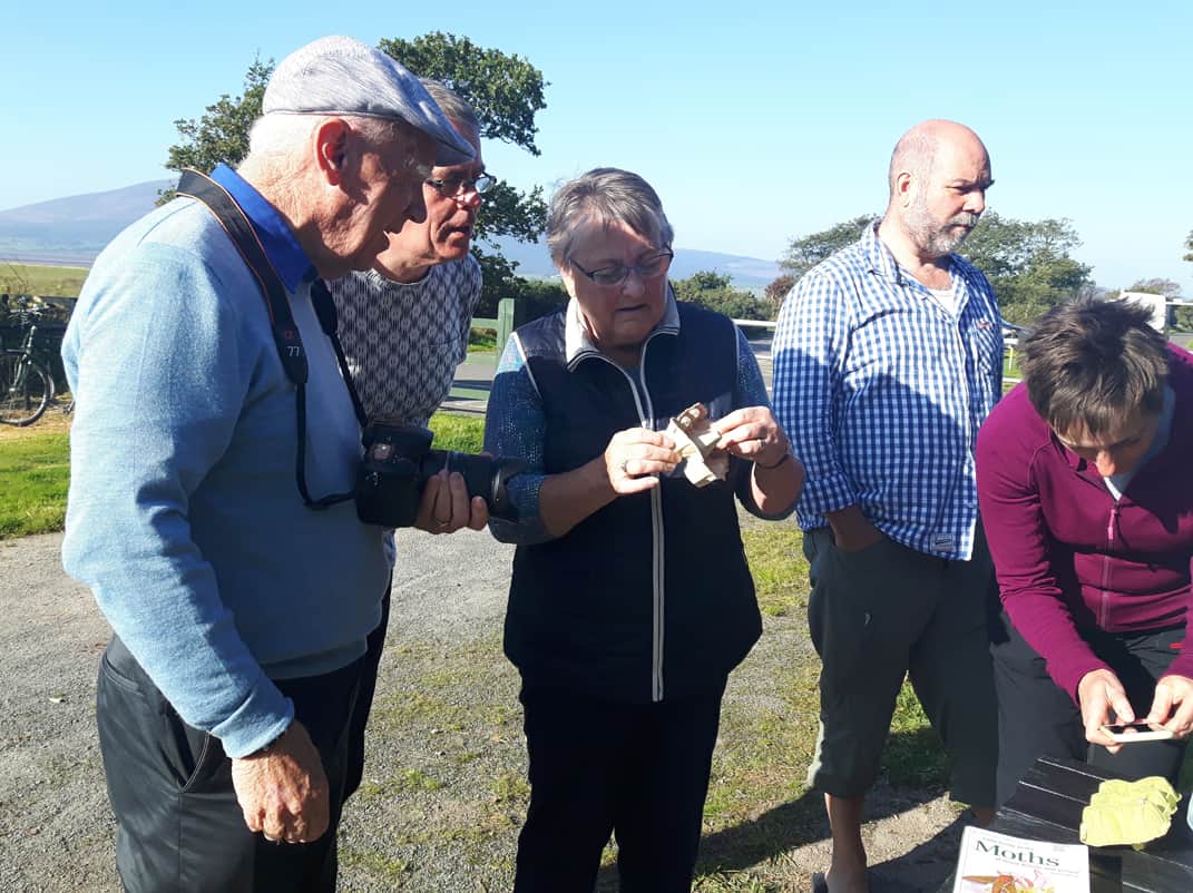Taking photos of eggboxes