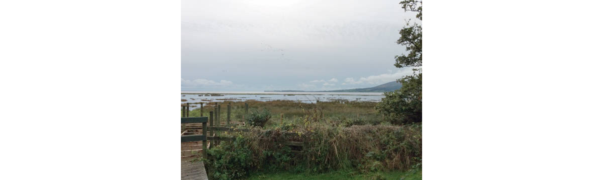 Adam Murphy Castle Corner Viewpoint