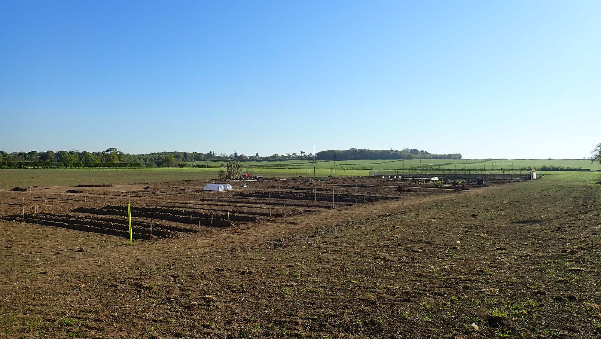 Photo of Caerlaverock Community Allotments in the early morning sunshine, Early May 2020