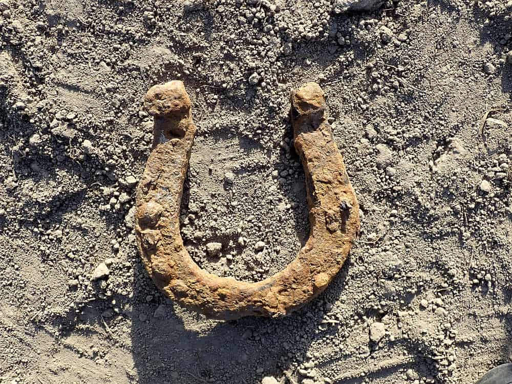 Alison Robertson's photo of the Clydesdale Horseshoe she found on her first day digging at the Caerlaverock Community Allotment!