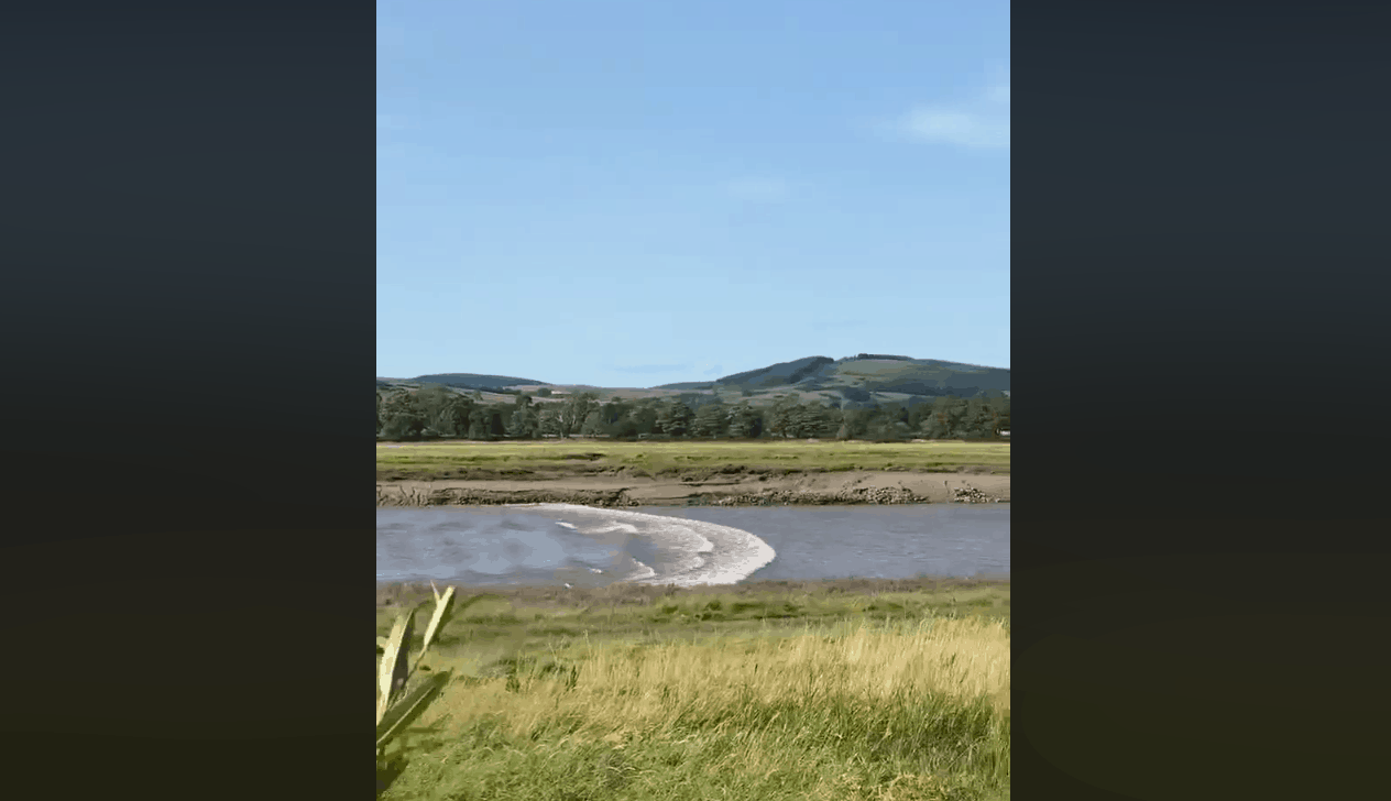 Nith Bore from Conheath near Glencaple